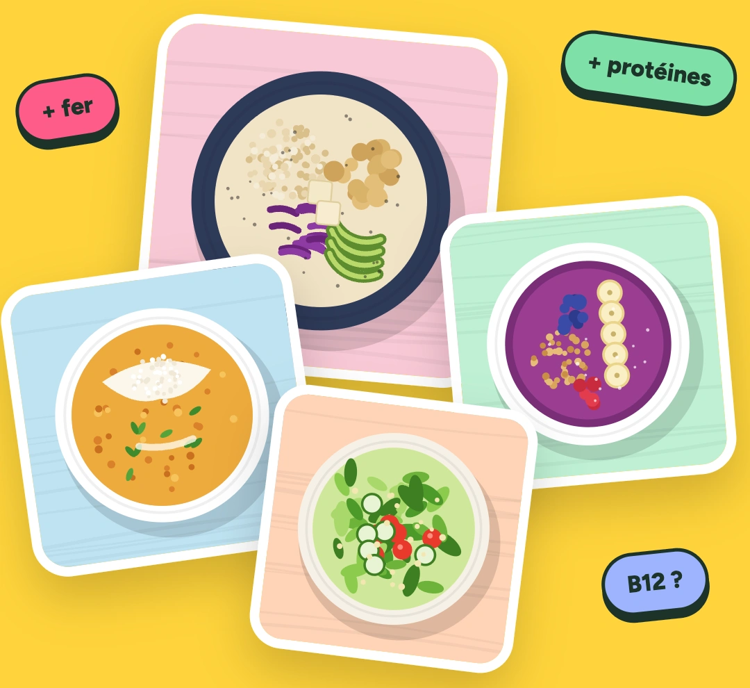 Assiettes illustrées de lentilles, céréales, légumes et fruits, avec des stickers fer, protéines et B12.
